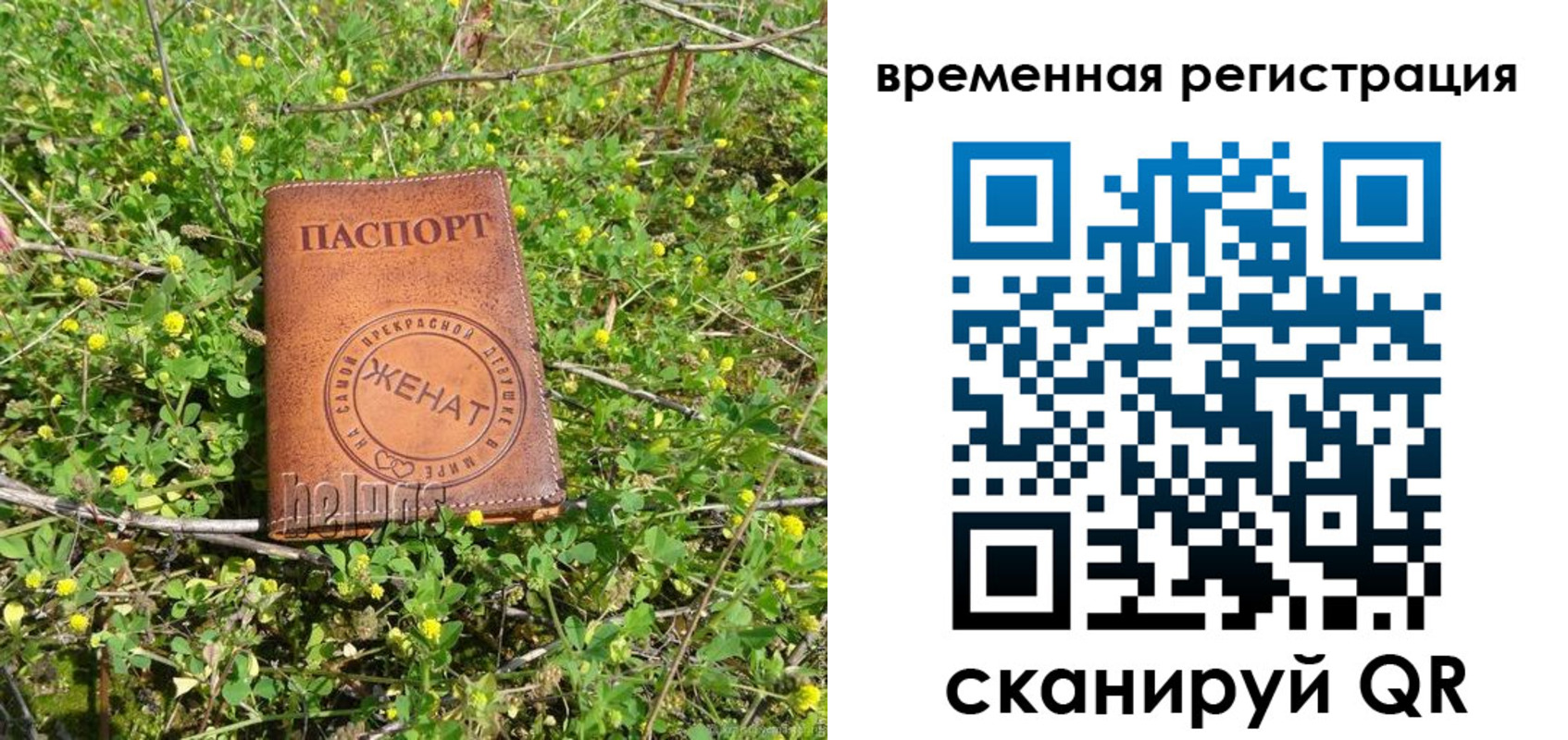 прописка регистрация в Острогожске
